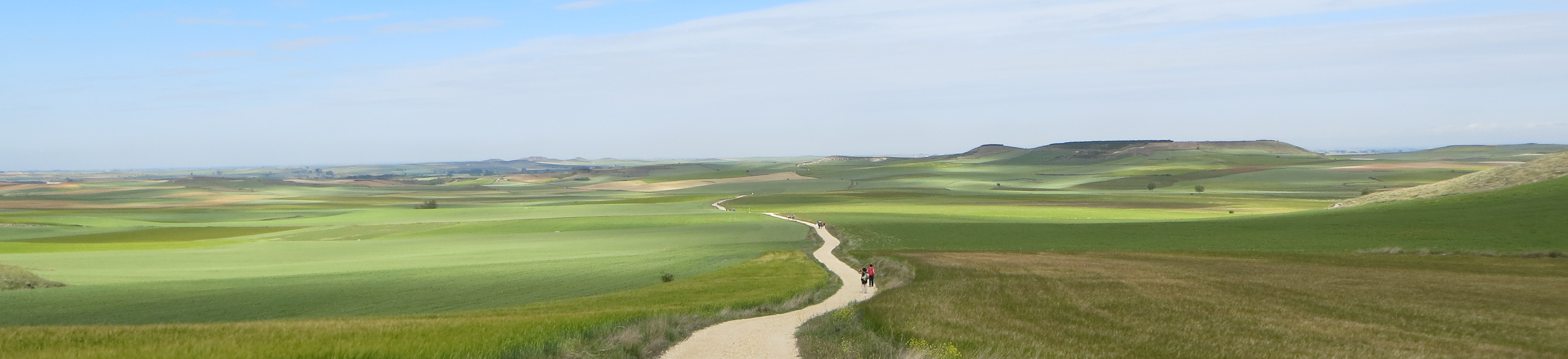 Camino de Santiago Meseta Green Spring