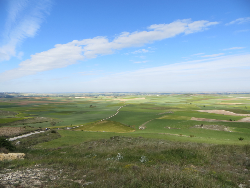 Camino de Santiago Meseta Spring Green Spain